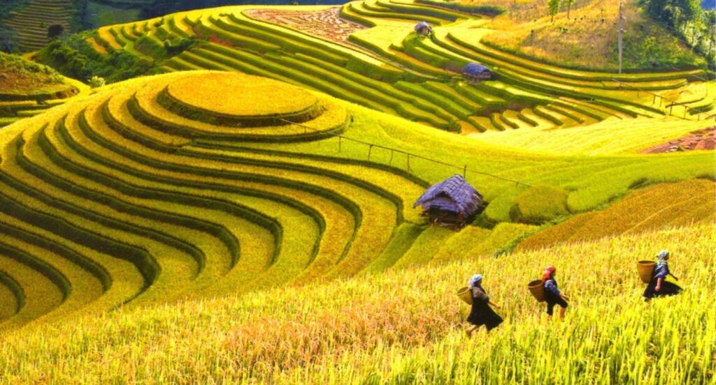Northern Vietnam in 7 Days: Hanoi, Mai Chau, Ninh Binh & Ha Long Bay
