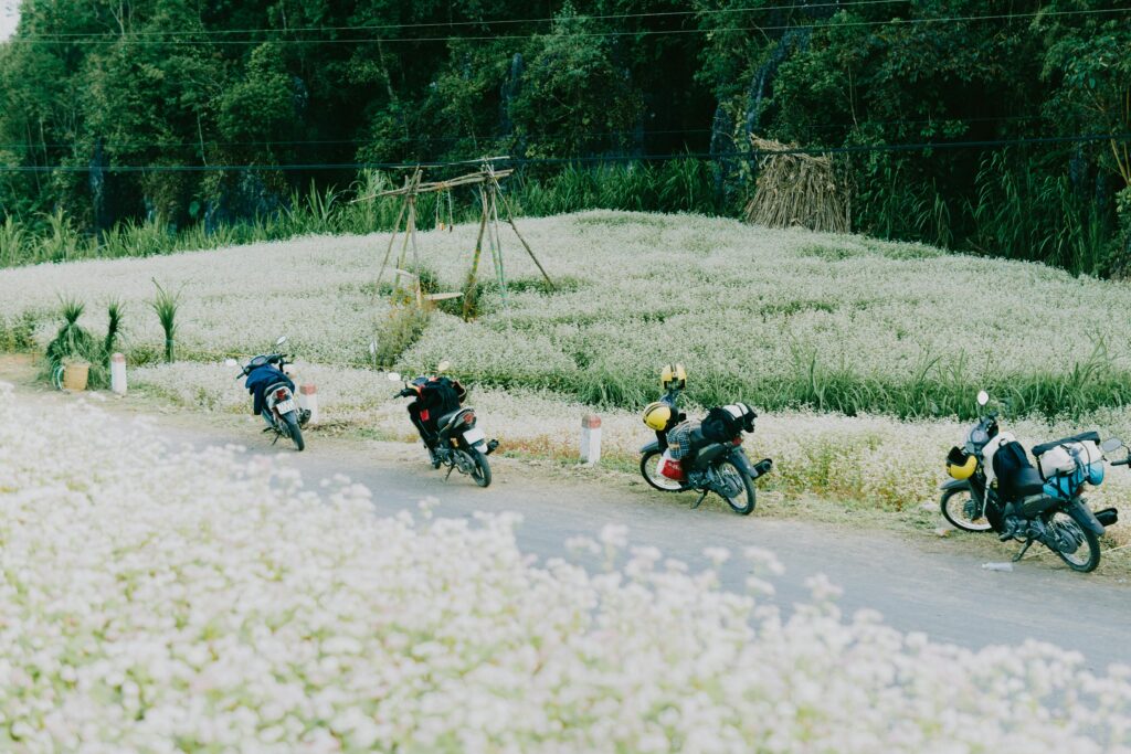 4 Days 3 Nights Eastern Loop Ha Giang Adventure