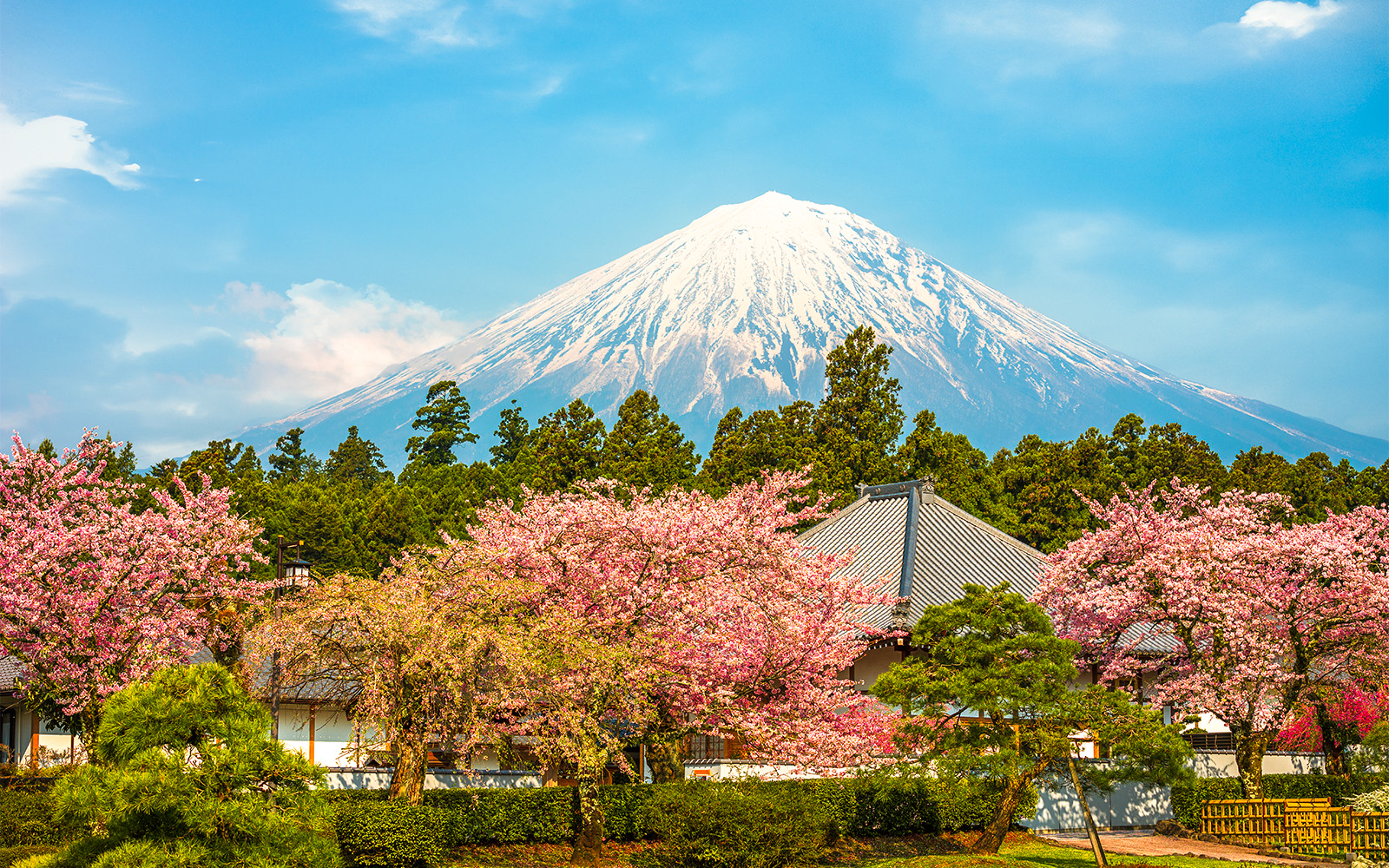 Japan in 8 Days – Classic Route for First-time Travelers with Mt. Fuji