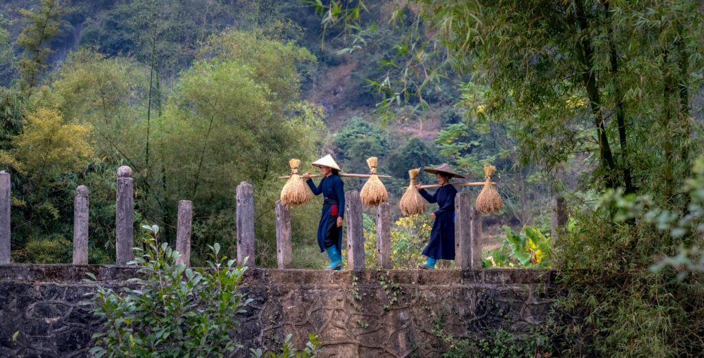 Mai Chau
